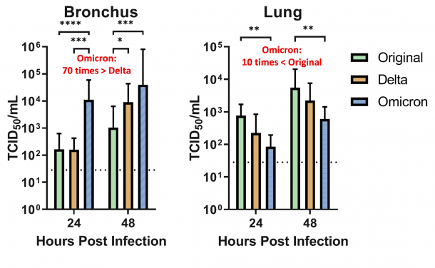 HKUMed finds Omicron SARS-CoV-2 can infect faster and better than Delta in human bronchus but with less severe infection in lung